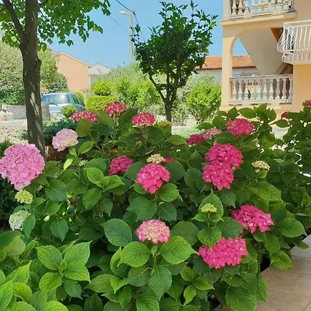 Ljiljana Apartament