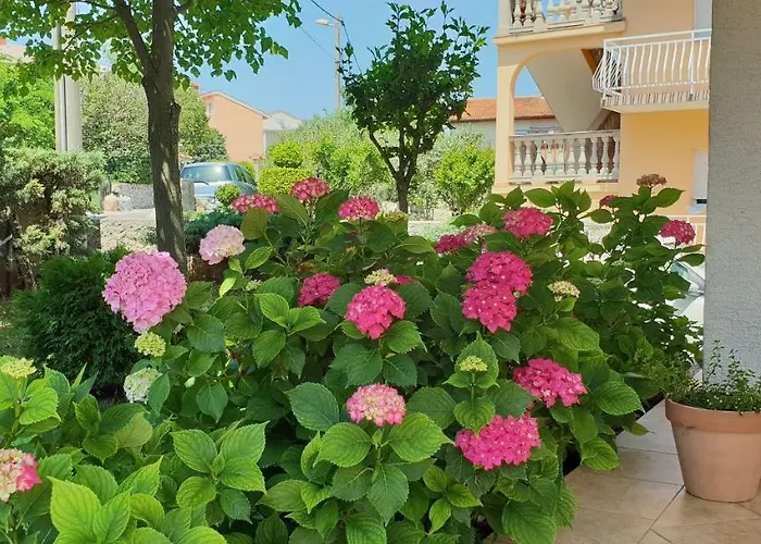 Ljiljana Apartman